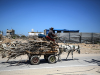 A Palestinian man is using a donkey cart to transport firewood on Salah El Din Street in Deir al-Balah in the central Gaza Strip on July 3,...