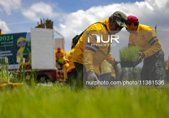 Workers of the Heroic Brigade Corps are planting containers with different varieties of plants during the ''Green Challenge 2024,'' which ai...