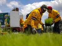 Workers of the Heroic Brigade Corps are planting containers with different varieties of plants during the ''Green Challenge 2024,'' which ai...