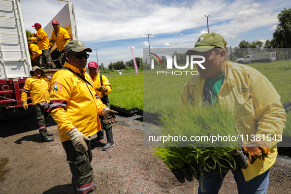 Workers of the Heroic Brigade Corps are holding different varieties of plants that will be planted during the ''Green Challenge 2024,'' with...