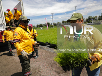 Workers of the Heroic Brigade Corps are holding different varieties of plants that will be planted during the ''Green Challenge 2024,'' with...