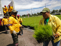 Workers of the Heroic Brigade Corps are holding different varieties of plants that will be planted during the ''Green Challenge 2024,'' with...