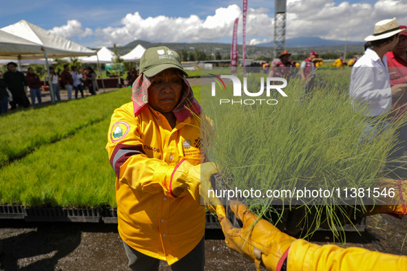 Workers of the Heroic Brigade Corps are holding different varieties of plants that will be planted during the ''Green Challenge 2024,'' with...