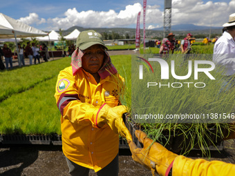 Workers of the Heroic Brigade Corps are holding different varieties of plants that will be planted during the ''Green Challenge 2024,'' with...