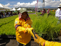 Workers of the Heroic Brigade Corps are holding different varieties of plants that will be planted during the ''Green Challenge 2024,'' with...