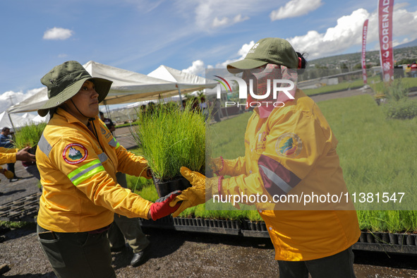 Workers of the Heroic Brigade Corps are holding different varieties of plants that will be planted during the ''Green Challenge 2024,'' with...