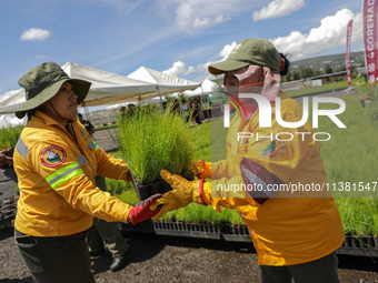 Workers of the Heroic Brigade Corps are holding different varieties of plants that will be planted during the ''Green Challenge 2024,'' with...