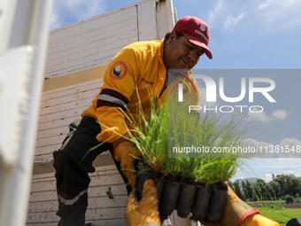 Workers of the Heroic Brigade Corps are holding different varieties of plants that will be planted during the ''Green Challenge 2024,'' with...