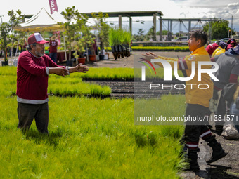 Workers of Natural Resources and Rural Development (CORENADR) are planting containers with different varieties of plants during the ''Green...