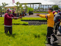 Workers of Natural Resources and Rural Development (CORENADR) are planting containers with different varieties of plants during the ''Green...