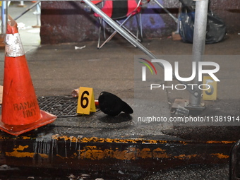 Evidence markers are being placed at the crime scene by the New York City Police Department Crime Scene Unit. One person is being assaulted,...