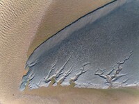 A landscape shaped like a tidal tree is being seen on the sea flat after the ebb tide in Tiaozini wetland in Yancheng, China, on July 3, 202...