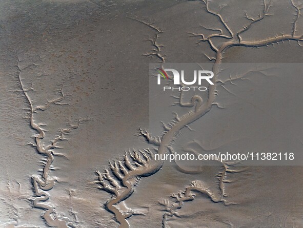 A landscape shaped like a tidal tree is being seen on the sea flat after the ebb tide in Tiaozini wetland in Yancheng, China, on July 3, 202...