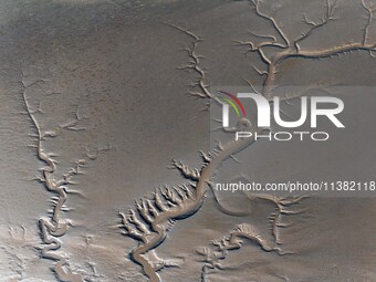 A landscape shaped like a tidal tree is being seen on the sea flat after the ebb tide in Tiaozini wetland in Yancheng, China, on July 3, 202...