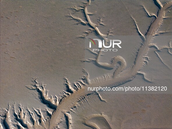 A landscape shaped like a tidal tree is being seen on the sea flat after the ebb tide in Tiaozini wetland in Yancheng, China, on July 3, 202...