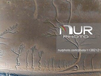 A landscape shaped like a tidal tree is being seen on the sea flat after the ebb tide in Tiaozini wetland in Yancheng, China, on July 3, 202...