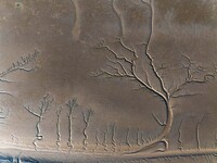 A landscape shaped like a tidal tree is being seen on the sea flat after the ebb tide in Tiaozini wetland in Yancheng, China, on July 3, 202...