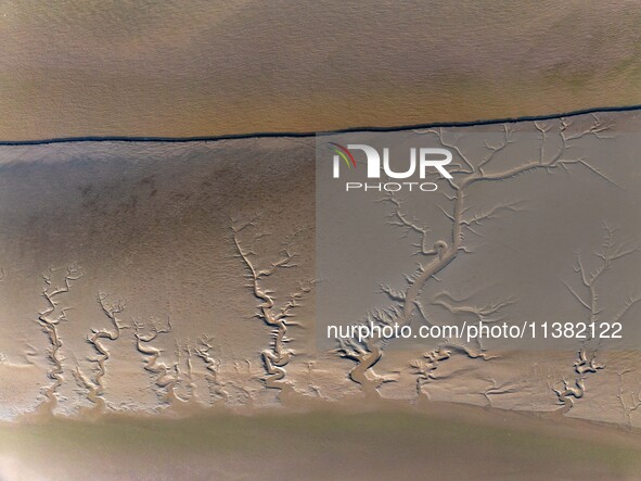 A landscape shaped like a tidal tree is being seen on the sea flat after the ebb tide in Tiaozini wetland in Yancheng, China, on July 3, 202...