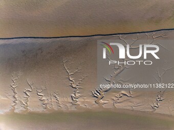 A landscape shaped like a tidal tree is being seen on the sea flat after the ebb tide in Tiaozini wetland in Yancheng, China, on July 3, 202...