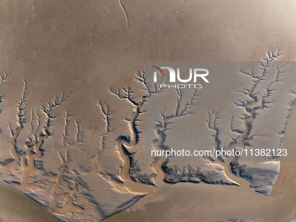 A landscape shaped like a tidal tree is being seen on the sea flat after the ebb tide in Tiaozini wetland in Yancheng, China, on July 3, 202...