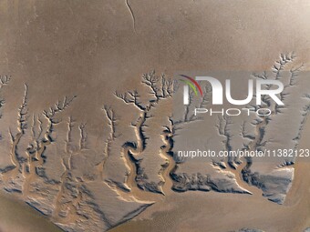 A landscape shaped like a tidal tree is being seen on the sea flat after the ebb tide in Tiaozini wetland in Yancheng, China, on July 3, 202...