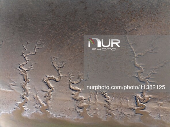 A landscape shaped like a tidal tree is being seen on the sea flat after the ebb tide in Tiaozini wetland in Yancheng, China, on July 3, 202...