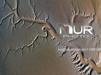 A landscape shaped like a tidal tree is being seen on the sea flat after the ebb tide in Tiaozini wetland in Yancheng, China, on July 3, 202...