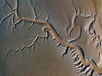 A landscape shaped like a tidal tree is being seen on the sea flat after the ebb tide in Tiaozini wetland in Yancheng, China, on July 3, 202...