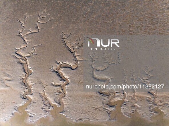 A landscape shaped like a tidal tree is being seen on the sea flat after the ebb tide in Tiaozini wetland in Yancheng, China, on July 3, 202...