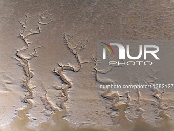 A landscape shaped like a tidal tree is being seen on the sea flat after the ebb tide in Tiaozini wetland in Yancheng, China, on July 3, 202...