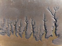 A landscape shaped like a tidal tree is being seen on the sea flat after the ebb tide in Tiaozini wetland in Yancheng, China, on July 3, 202...