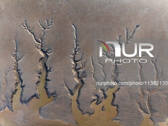 A landscape shaped like a tidal tree is being seen on the sea flat after the ebb tide in Tiaozini wetland in Yancheng, China, on July 3, 202...