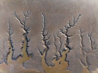 A landscape shaped like a tidal tree is being seen on the sea flat after the ebb tide in Tiaozini wetland in Yancheng, China, on July 3, 202...