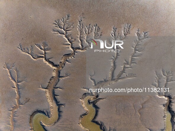 A landscape shaped like a tidal tree is being seen on the sea flat after the ebb tide in Tiaozini wetland in Yancheng, China, on July 3, 202...