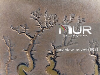 A landscape shaped like a tidal tree is being seen on the sea flat after the ebb tide in Tiaozini wetland in Yancheng, China, on July 3, 202...