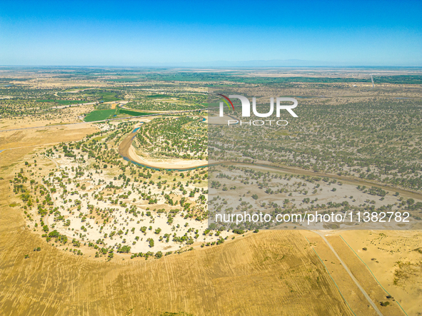 The local forestry department is laying water-saving drip irrigation facilities on the smooth dunes, planting salt-tolerant and drought-tole...