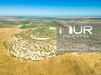 The local forestry department is laying water-saving drip irrigation facilities on the smooth dunes, planting salt-tolerant and drought-tole...