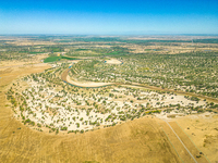 The local forestry department is laying water-saving drip irrigation facilities on the smooth dunes, planting salt-tolerant and drought-tole...