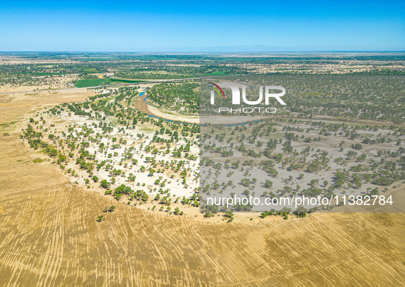 The local forestry department is laying water-saving drip irrigation facilities on the smooth dunes, planting salt-tolerant and drought-tole...