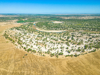 The local forestry department is laying water-saving drip irrigation facilities on the smooth dunes, planting salt-tolerant and drought-tole...