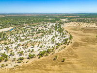 The local forestry department is laying water-saving drip irrigation facilities on the smooth dunes, planting salt-tolerant and drought-tole...