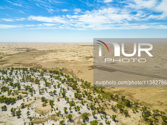 The local forestry department is laying water-saving drip irrigation facilities on the smooth dunes, planting salt-tolerant and drought-tole...