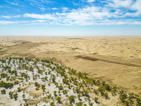 The local forestry department is laying water-saving drip irrigation facilities on the smooth dunes, planting salt-tolerant and drought-tole...