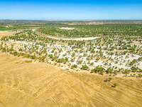 The local forestry department is laying water-saving drip irrigation facilities on the smooth dunes, planting salt-tolerant and drought-tole...