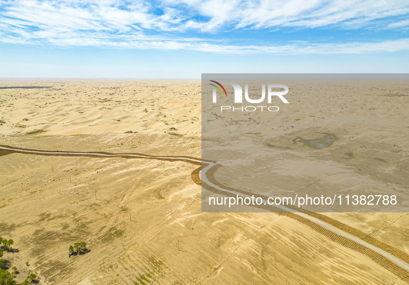 The local forestry department is laying water-saving drip irrigation facilities on the smooth dunes, planting salt-tolerant and drought-tole...