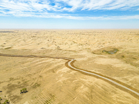 The local forestry department is laying water-saving drip irrigation facilities on the smooth dunes, planting salt-tolerant and drought-tole...