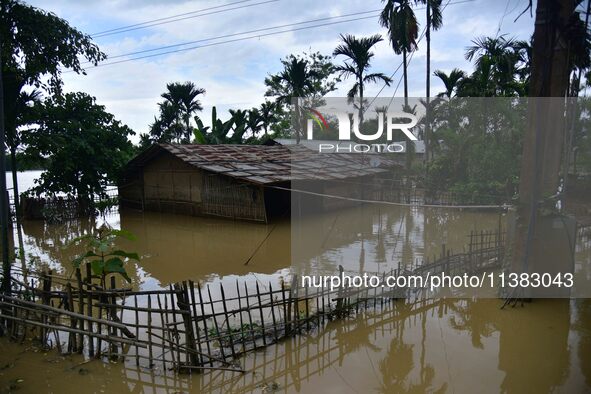 A partially submerged hut is being seen after heavy rainfall in Hojai District of Assam, India, on July 5, 2024. 