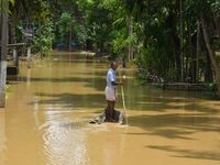 A man is using a banana raft to cross a flooded area after heavy rainfall in Nagaon District of Assam, India, on July 5, 2024. (