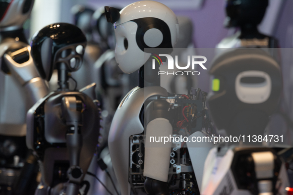 18 Humanoid Robot Vanguard Matrix are being displayed at the entrance of WAIC, World Artificial Intelligence Conference at Shanghai World Ex...