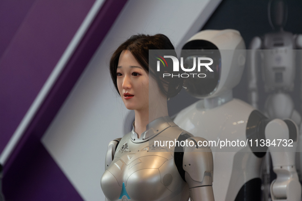 18 Humanoid Robot Vanguard Matrix are being displayed at the entrance of WAIC, World Artificial Intelligence Conference at Shanghai World Ex...